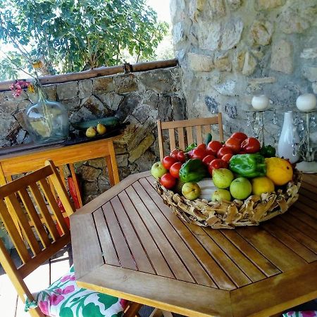 Casa Do Trapo Hotel Sardoal Ngoại thất bức ảnh